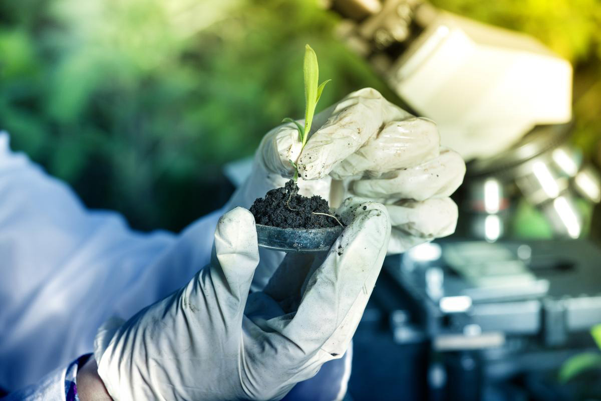 scientist holding a plant in a lab.