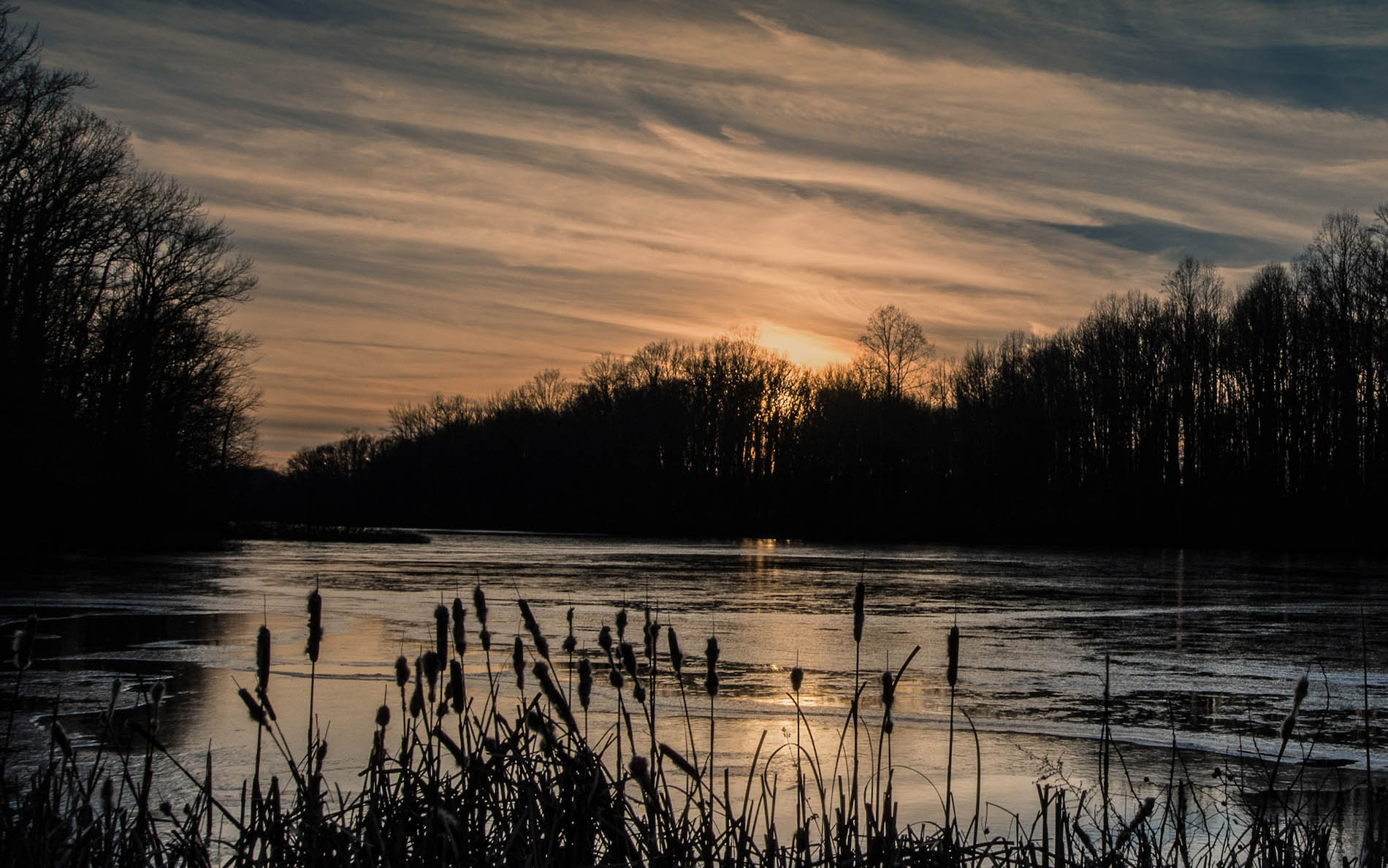 fishing in winter