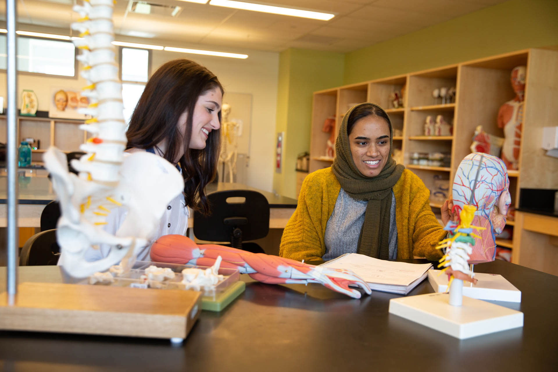 Students collaborating on a project at Middlesex County College.
