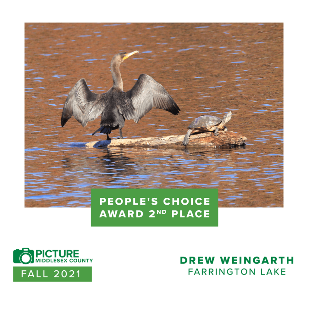 Picture Middlesex County Fall 2021 people's choice second place winner drew weingarth.